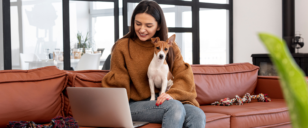 Deciding If Dealfair is the Perfect Match for Your Business